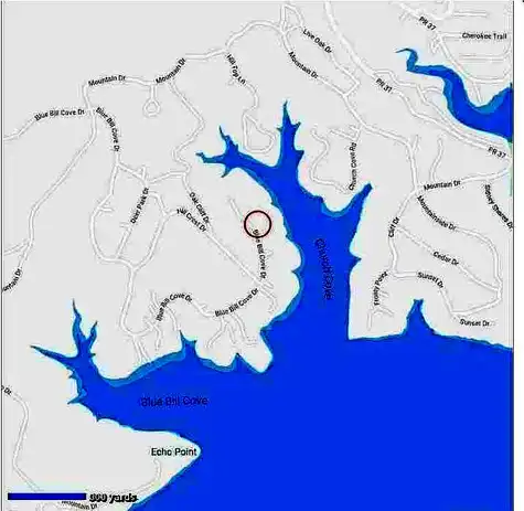 Blue Bill Cove, LAKEHILLS, TX 78063