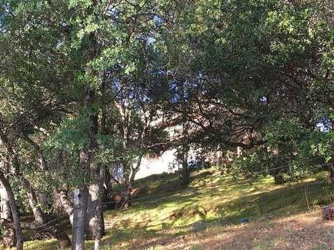 Arrowbee, PLACERVILLE, CA 95667