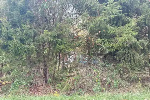 Snowhill, FAYETTEVILLE, OH 45118