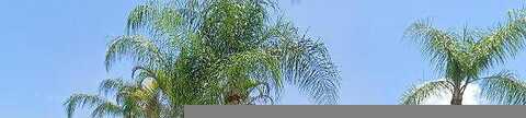 Pennell, ENGLEWOOD, FL 34224