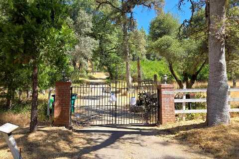 Tiger Tail, GRASS VALLEY, CA 95949
