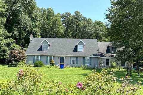 Breasure, GEORGETOWN, DE 19947