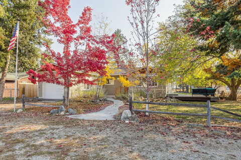 Violet, DARBY, MT 59829