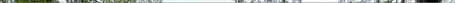 West, SOMERVILLE, TN 38068