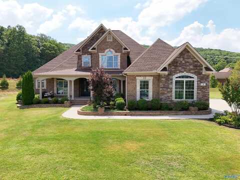 Sanders Hill, GURLEY, AL 35748