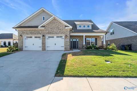 Dylan, MADISON, AL 35756