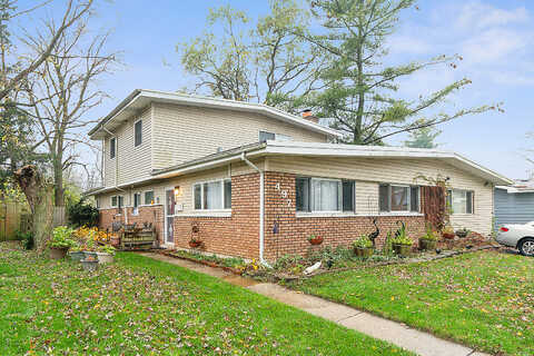 Talala, PARK FOREST, IL 60466