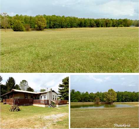 Jim Cummings, BRADYVILLE, TN 37026