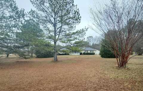 Bonnie, TONEY, AL 35773