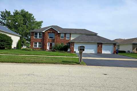 Larkspur, MATTESON, IL 60443