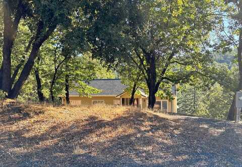 Green Pine, FORESTHILL, CA 95631