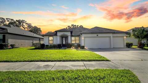 Challice, SPRING HILL, FL 34609
