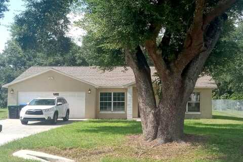 Holly, MOUNT DORA, FL 32757