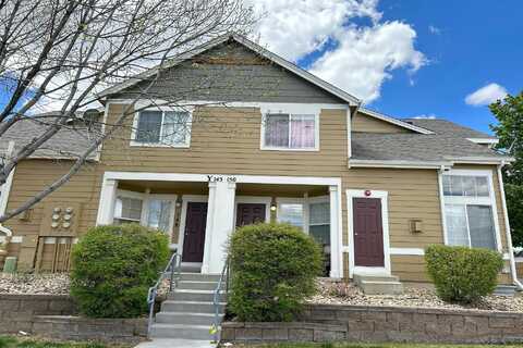 Summer Hawk, LONGMONT, CO 80504
