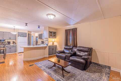 Appaloosa, MILTON, FL 32570