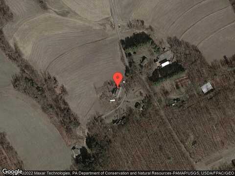 Bucktail, HALIFAX, PA 17032