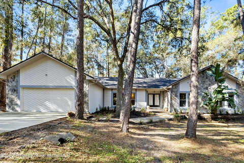 Batten, BROOKSVILLE, FL 34602