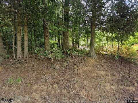Germany Creek, LONGVIEW, WA 98632