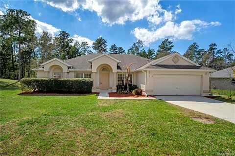 Tall Marigolds, HOMOSASSA, FL 34446