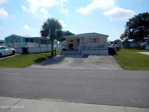 Snow Goose, NEWPORT, NC 28570