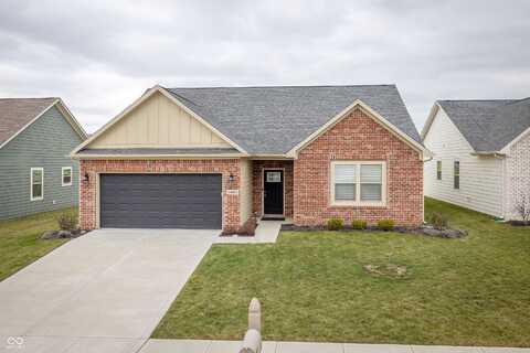 Adair, INDIANAPOLIS, IN 46229