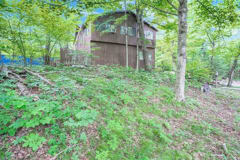 Thornapple Dales, ALTO, MI 49302