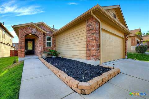 Blair, SAN MARCOS, TX 78666