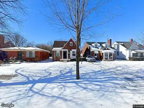 Runyon, DETROIT, MI 48234
