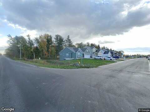 Elderberry, HOLLAND, MI 49424
