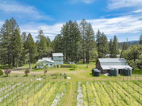 Patton Bar, CAVE JUNCTION, OR 97523