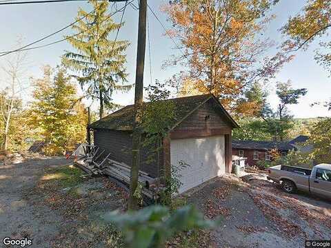 Pine Tree, BLOOMINGDALE, NJ 07403
