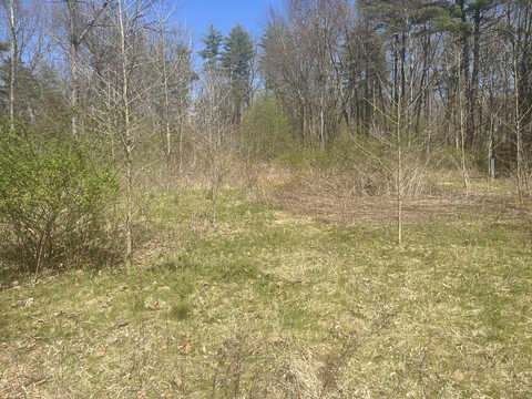 Waterville, FARMINGTON, CT 06032