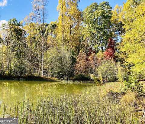 Long Mountain, CLEVELAND, GA 30528