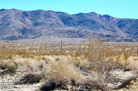 Park Avenue, 29 Palms, CA 92277