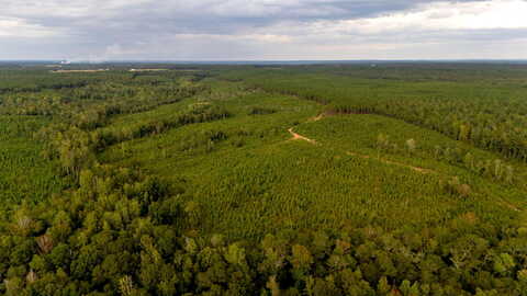 Johnston Highway, Trenton, SC 29847