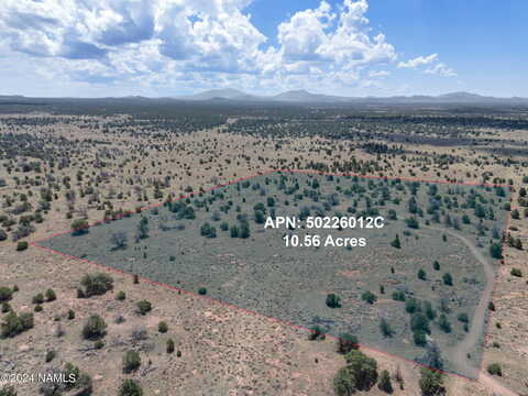 N Muytala, Williams, AZ 86046