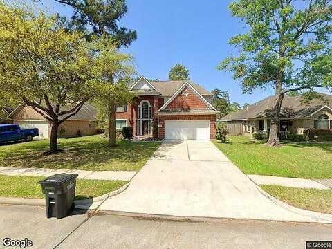 Eastern Redbud, HOUSTON, TX 77044