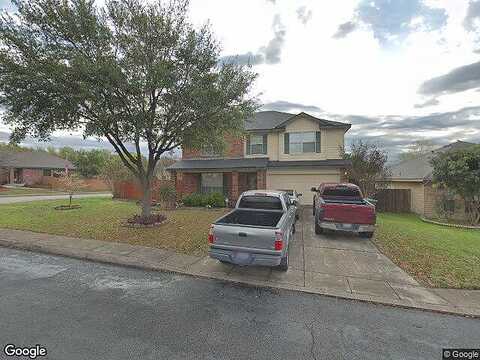 Lion King, SAN ANTONIO, TX 78251