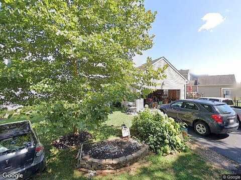 Basil, MARIETTA, PA 17547