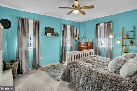 Cedar, EAST EARL, PA 17519