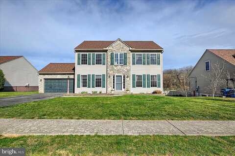 Brendan, MOUNT WOLF, PA 17347