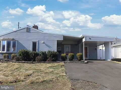 Tulip, LEVITTOWN, PA 19054