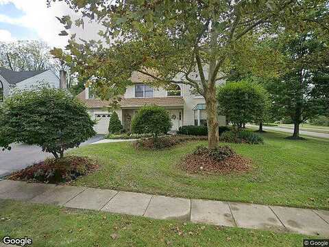 Sweet Gum, LAFAYETTE HILL, PA 19444