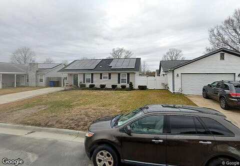 Dandelion, VIRGINIA BEACH, VA 23453