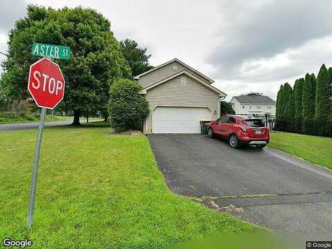Aster, NAZARETH, PA 18064