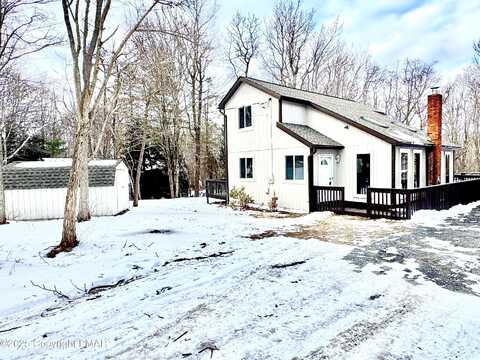 Black Bear, LONG POND, PA 18334