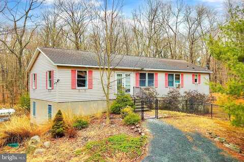 Fern, MILFORD, PA 18337