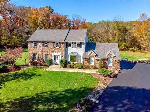 Colt, ALBURTIS, PA 18011