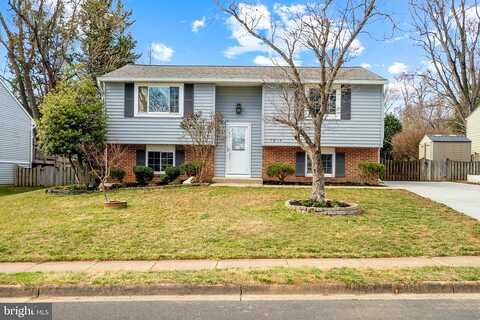 Brightlea, VIENNA, VA 22181