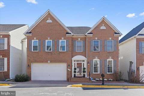 Lee Masey, LORTON, VA 22079